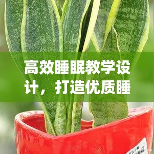 高效睡眠教學設計，打造優(yōu)質(zhì)睡眠模式，提升身心健康質(zhì)量