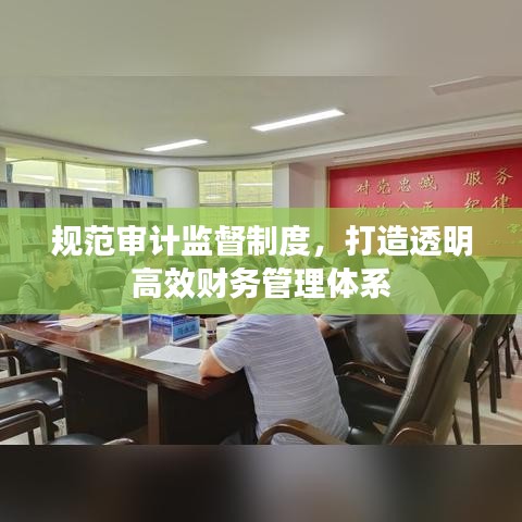 規(guī)范審計監(jiān)督制度，打造透明高效財務(wù)管理體系