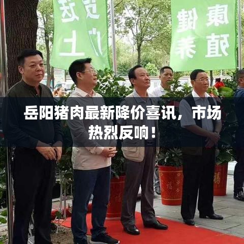 岳陽豬肉最新降價喜訊，市場熱烈反響！
