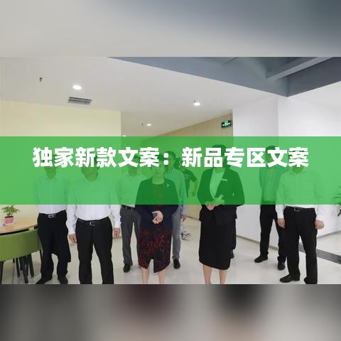 獨家新款文案：新品專區(qū)文案 