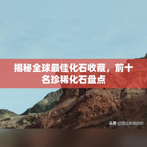 揭秘全球最佳化石收藏，前十名珍稀化石盤點