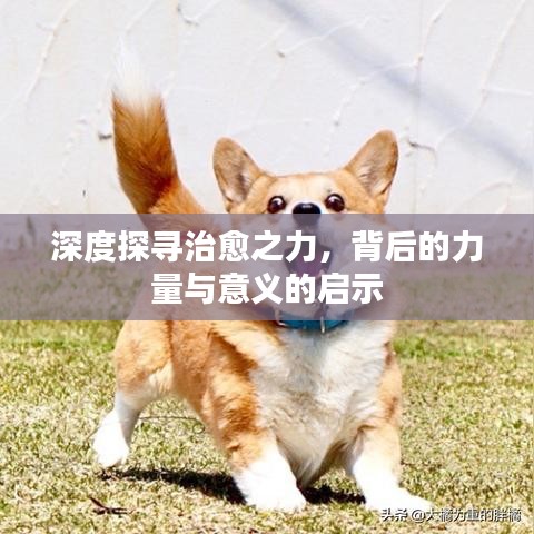 深度探尋治愈之力，背后的力量與意義的啟示