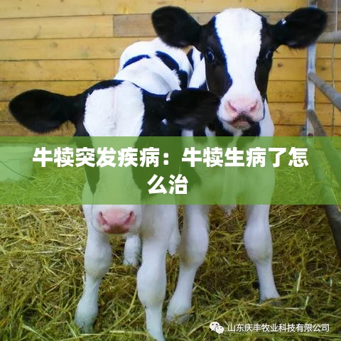 牛犢突發(fā)疾病：牛犢生病了怎么治 