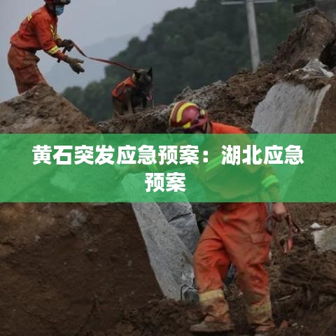 黃石突發(fā)應急預案：湖北應急預案 