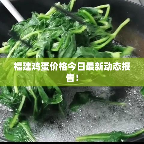 福建雞蛋價格今日最新動態(tài)報告！