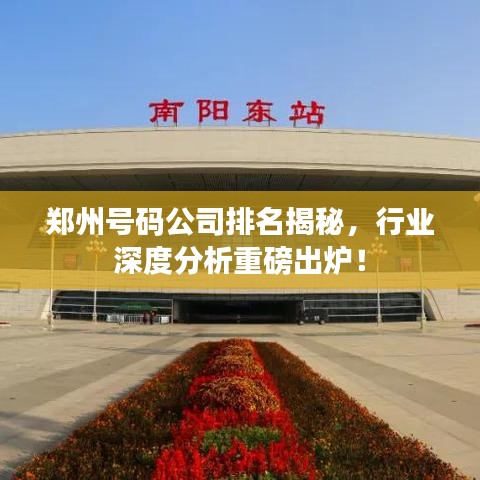 鄭州號(hào)碼公司排名揭秘，行業(yè)深度分析重磅出爐！