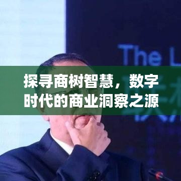 探尋商樹智慧，數(shù)字時(shí)代的商業(yè)洞察之源