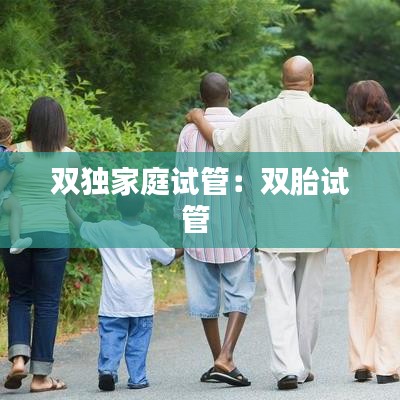 雙獨家庭試管：雙胎試管 