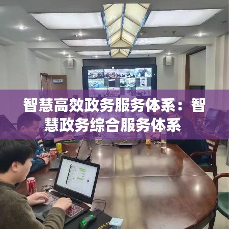 智慧高效政務(wù)服務(wù)體系：智慧政務(wù)綜合服務(wù)體系 