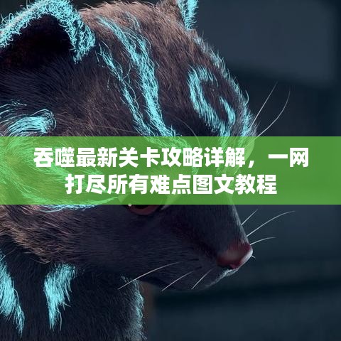 吞噬最新關(guān)卡攻略詳解，一網(wǎng)打盡所有難點圖文教程