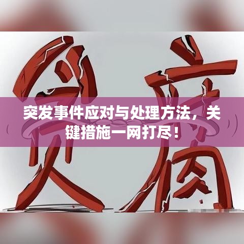 突發(fā)事件應(yīng)對與處理方法，關(guān)鍵措施一網(wǎng)打盡！