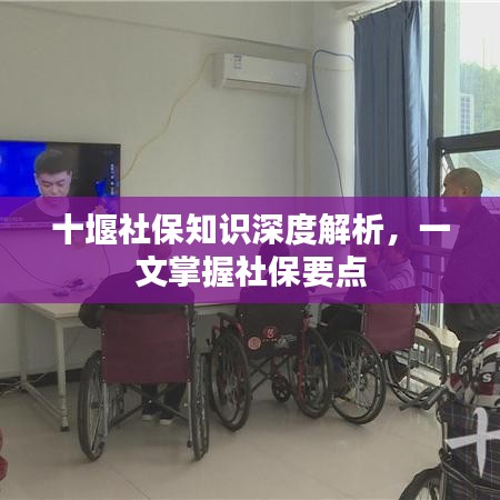 十堰社保知識深度解析，一文掌握社保要點