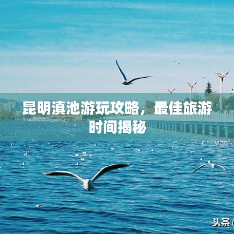 懸駝就石 第3頁