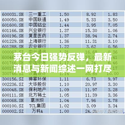 茅臺今日強勢反彈，最新消息與新聞綜述一網(wǎng)打盡