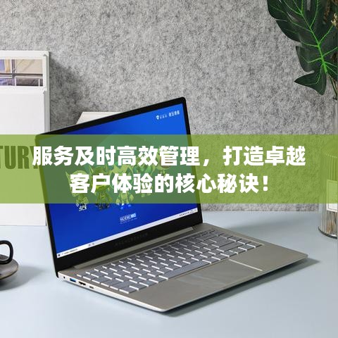 服務(wù)及時(shí)高效管理，打造卓越客戶體驗(yàn)的核心秘訣！