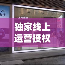 獨(dú)家線上運(yùn)營授權(quán)合同揭秘，法律保障下的合作雙贏新篇章！