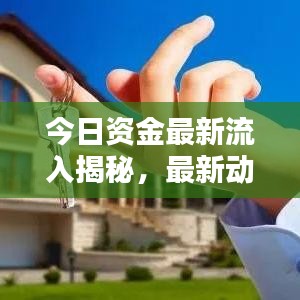 今日資金最新流入揭秘，最新動(dòng)態(tài)一網(wǎng)打盡