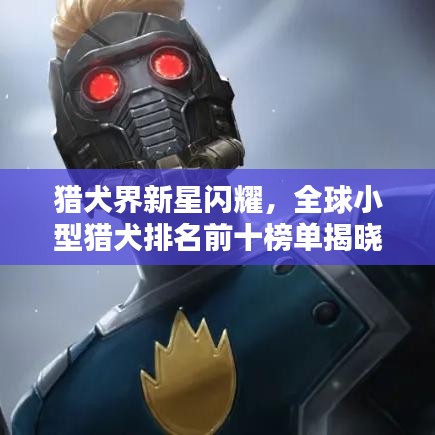 獵犬界新星閃耀，全球小型獵犬排名前十榜單揭曉！