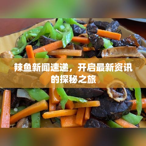 辣魚新聞速遞，開啟最新資訊的探秘之旅