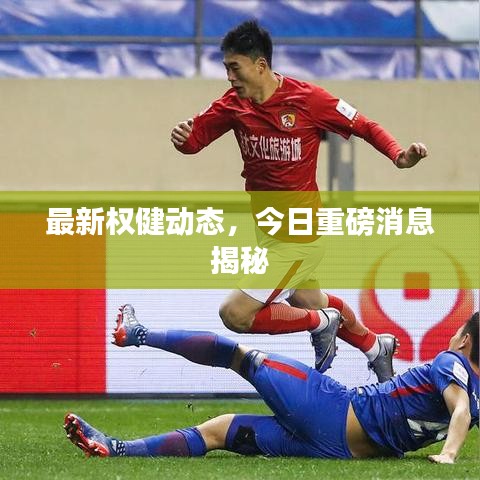 最新權(quán)健動(dòng)態(tài)，今日重磅消息揭秘