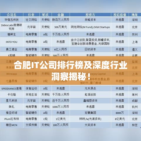 合肥IT公司排行榜及深度行業(yè)洞察揭秘！