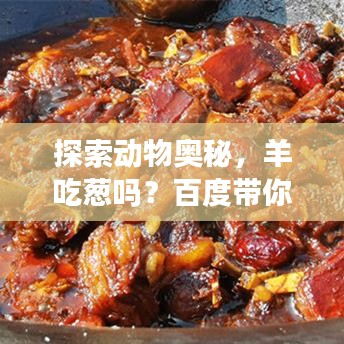 探索動物奧秘，羊吃蔥嗎？百度帶你揭秘自然世界！