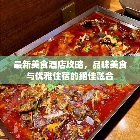 最新美食酒店攻略，品味美食與優(yōu)雅住宿的絕佳融合