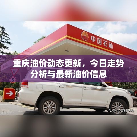 重慶油價(jià)動(dòng)態(tài)更新，今日走勢(shì)分析與最新油價(jià)信息