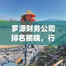 羅源財務(wù)公司排名揭曉，行業(yè)影響力不容小覷