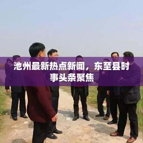 池州最新熱點新聞，東至縣時事頭條聚焦