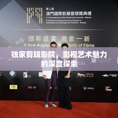 獨(dú)家剪輯影院，影視藝術(shù)魅力的深度探索