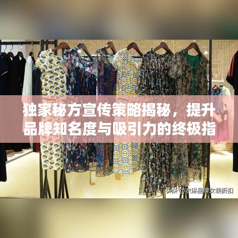 獨家秘方宣傳策略揭秘，提升品牌知名度與吸引力的終極指南