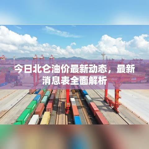 今日北侖油價最新動態(tài)，最新消息表全面解析