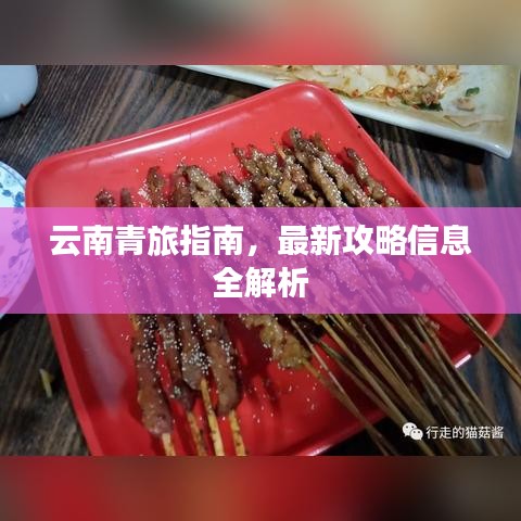 云南青旅指南，最新攻略信息全解析