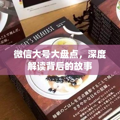微信大號(hào)大盤點(diǎn)，深度解讀背后的故事