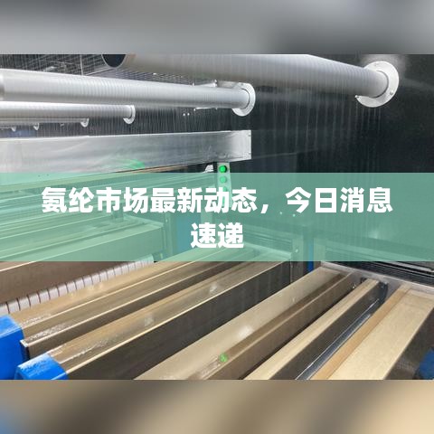 氨綸市場最新動態(tài)，今日消息速遞