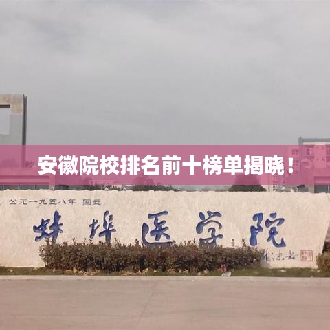 安徽院校排名前十榜單揭曉！