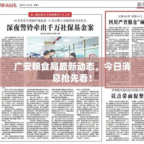 廣安糧食局最新動(dòng)態(tài)，今日消息搶先看！