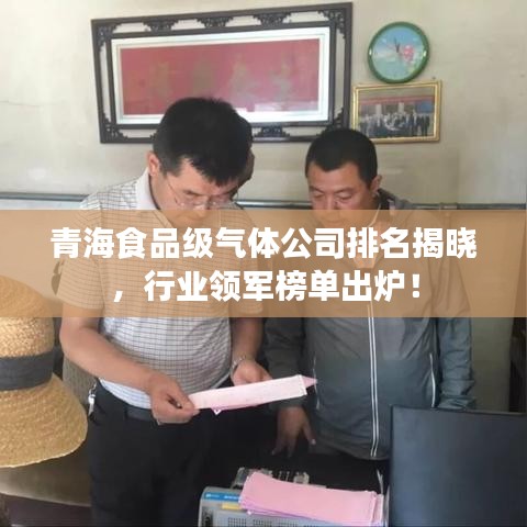 青海食品級(jí)氣體公司排名揭曉，行業(yè)領(lǐng)軍榜單出爐！