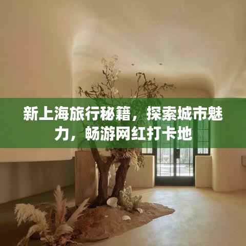 新上海旅行秘籍，探索城市魅力，暢游網(wǎng)紅打卡地