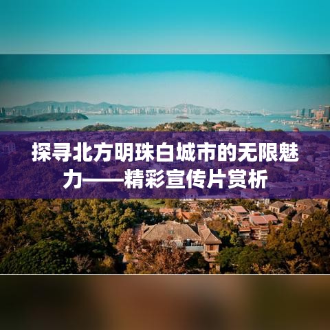 探尋北方明珠白城市的無限魅力——精彩宣傳片賞析