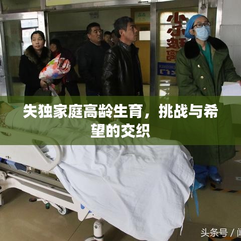 德才兼?zhèn)?第4頁