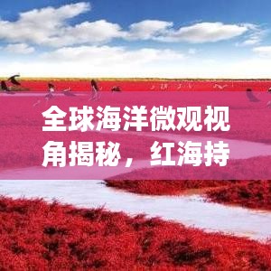 全球海洋微觀視角揭秘，紅海持續(xù)擴(kuò)張的神秘力量