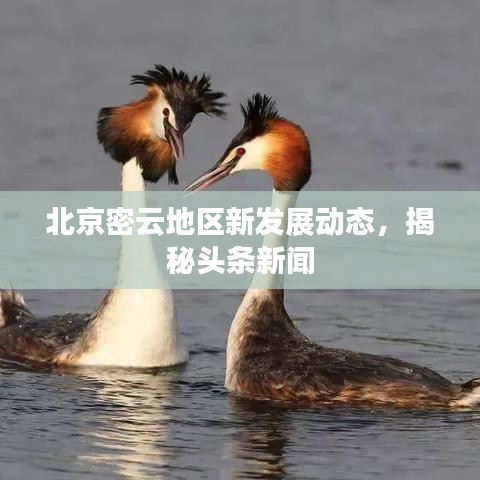 北京密云地區(qū)新發(fā)展動態(tài)，揭秘頭條新聞