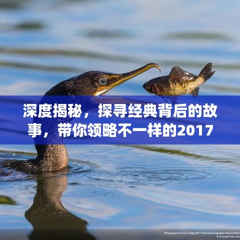 深度揭秘，探尋經(jīng)典背后的故事，帶你領(lǐng)略不一樣的2017年