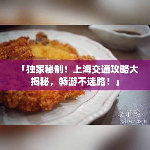 「獨家秘制！上海交通攻略大揭秘，暢游不迷路！」