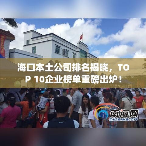 海口本土公司排名揭曉，TOP 10企業(yè)榜單重磅出爐！