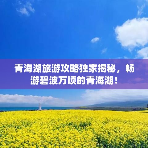 青海湖旅游攻略獨(dú)家揭秘，暢游碧波萬(wàn)頃的青海湖！
