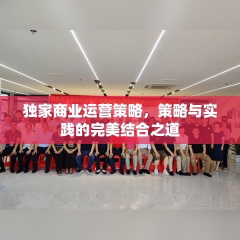 獨(dú)家商業(yè)運(yùn)營策略，策略與實(shí)踐的完美結(jié)合之道