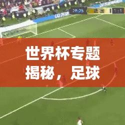 世界杯專題揭秘，足球盛宴背后的故事與傳奇之旅